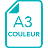 Format A3 Couleur