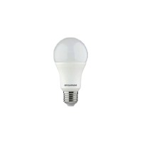 Ampoule led 13W E27