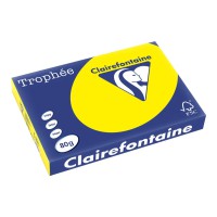 Papier A3 80g divers coloris intenses - Trophée - 500F
