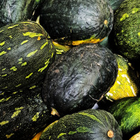 Citrouille giraumon