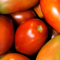Tomate petite