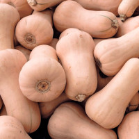 Courge