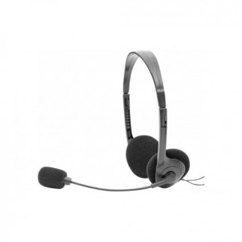 Casque stéréo ajustable avec micro - prise usb noir
