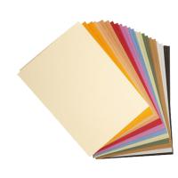 Paquet de 24 papiers dessin 50x65 160g pastel assortis