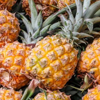 Ananas