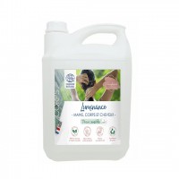 Lotion antiseptique moussante pour les mains ASEPTIL LOTION + - 5L