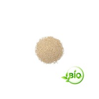 Quinoa blanc Bio vrac - 500g