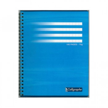 Cahier spirale 21x29.7 5 x 5 - 180P