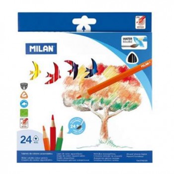 24 crayons couleur aquarellables