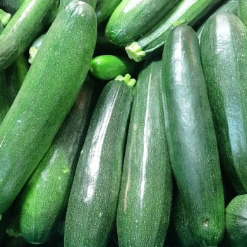 Courgette verte