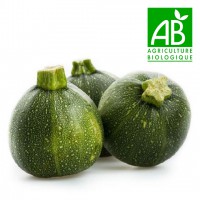 Courgette verte bio