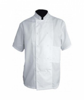 Veste cuisine manche courte