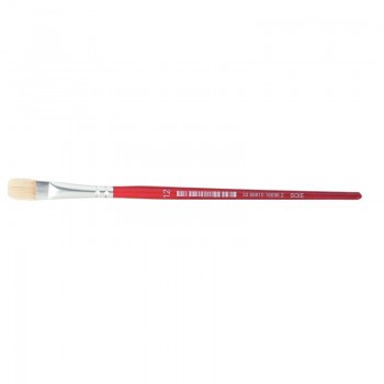 Brosse plate n°12