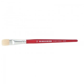 Brosse plate n°16