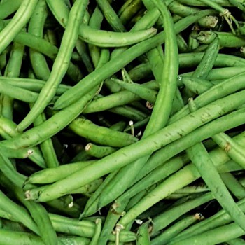 Haricot vert