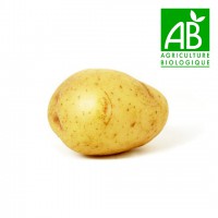 Pomme de terre bio