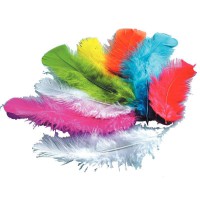 Sachet 150 plumes assorties