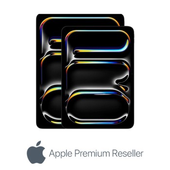 Ipad pro 13" m5 wifi + cellular 256go gris sideral