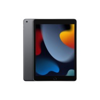 Ipad 10,2 pouces (9è gen) 2021 256gb wi-fi gris sideral
