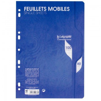 Paquet de 50 feuilles mobiles A4 seyes