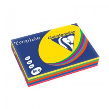 Papier A4 couleur Trophée 80G - Assortiment 5x100F