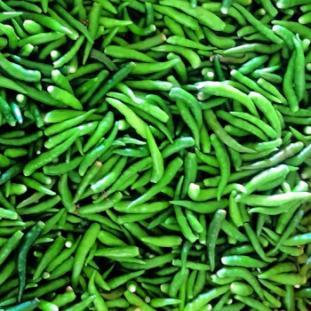 Petit piment vert