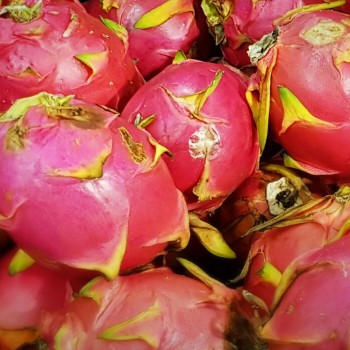 Pitaya