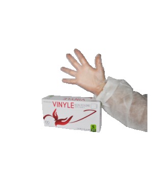 Boîte de 100 gants vinyle non poudré