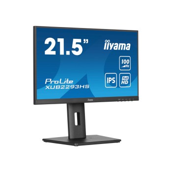 Ecran 21.5 pouces IIYAMA