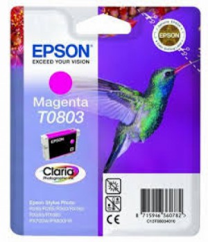 Toner Magenta C13T080340