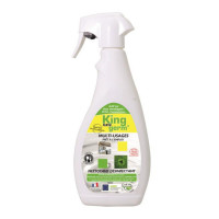 Flash'Germ Acide lactique 750ml